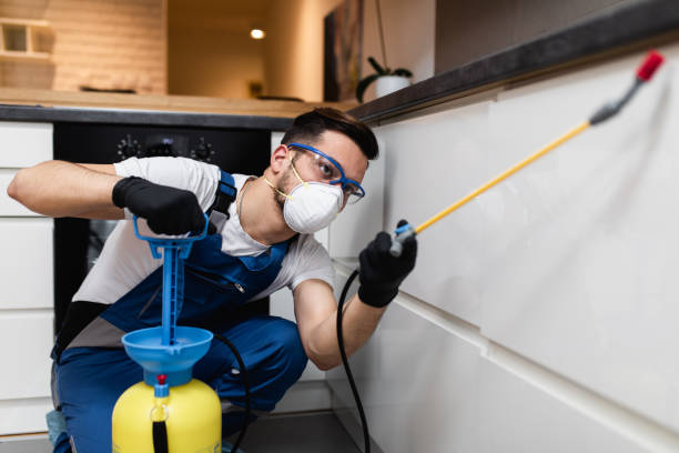 Best Cockroach Control Services  in Biddeford, ME
