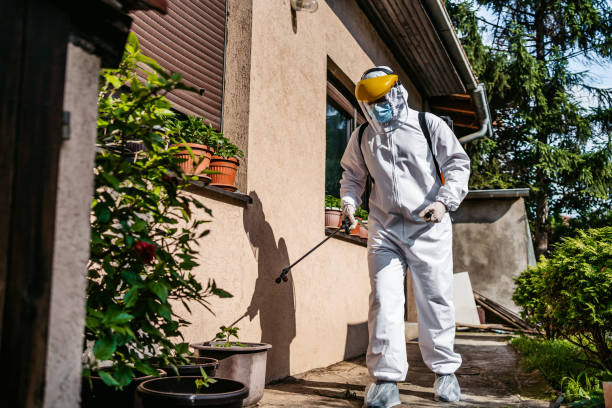 Best Exterminator Services  in Biddeford, ME
