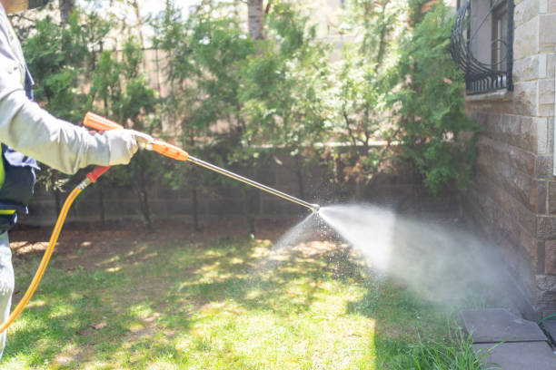 Best Bed Bug Extermination  in Biddeford, ME