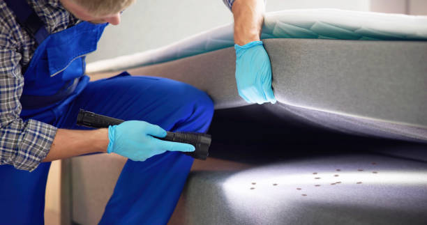 Best Residential Pest Control  in Biddeford, ME